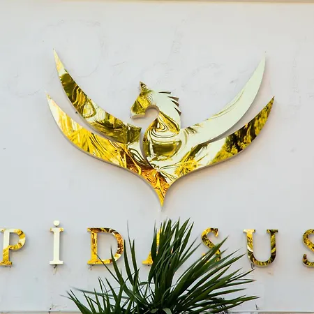 Hotel Pidasus