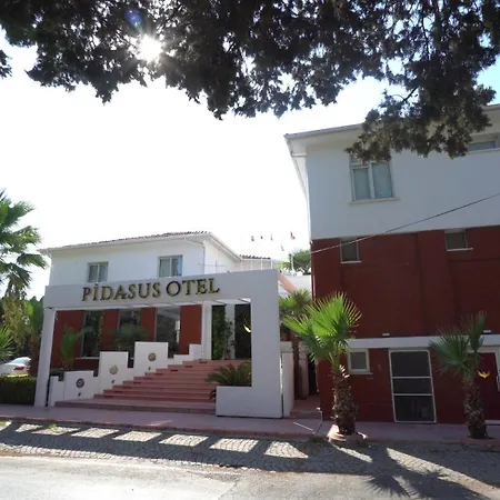 Hotel Pidasus 3*