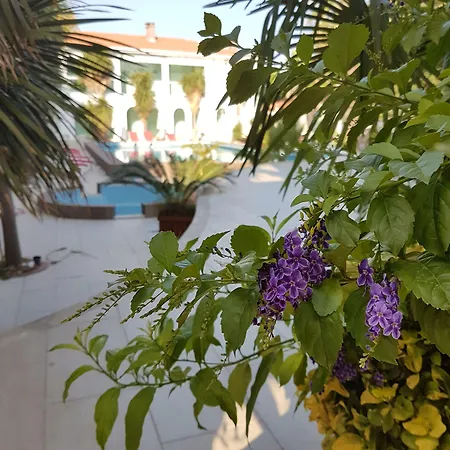 Hotel Pidasus Burhaniye